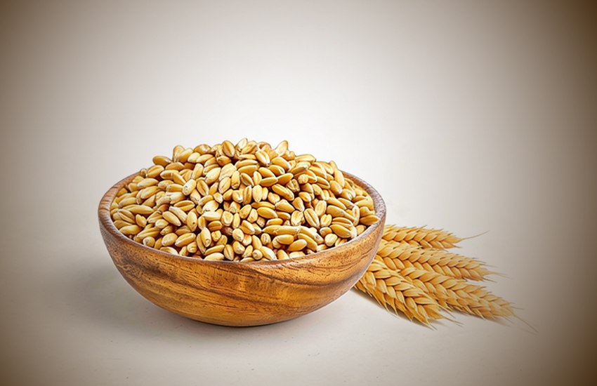 ألياف القمح