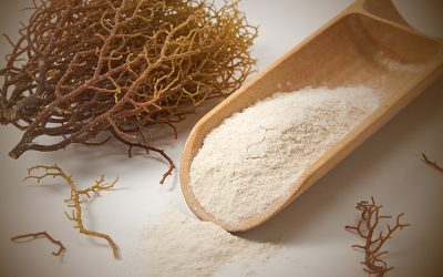 ألجينات الصوديوم