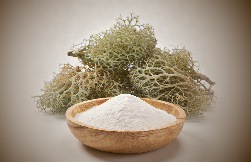 الكارجينان